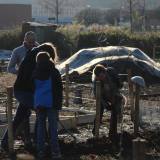 Helpers planten fruithagen