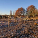 Op een koude ochtend voor de fruitbomenaanplant