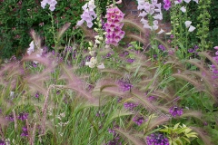 Cottage border