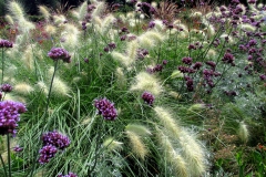 Eenvoudige prairiebeplanting