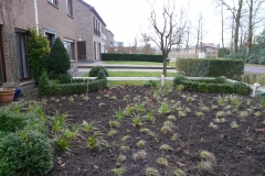 Plantwerken