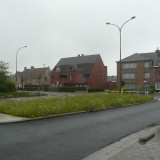 Bloemenweide