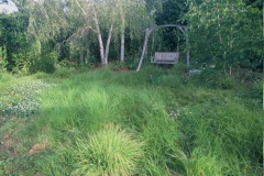 Natuurlijke gazon