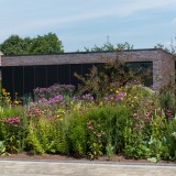 Moderne woning met prairieborder