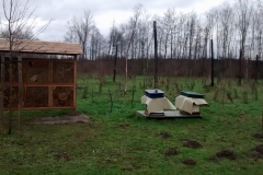 Bijenkasten en bijenhotel op begraafplaats Heimolen te Sint-Niklaas