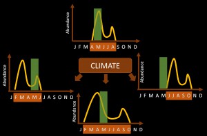 klimaatverandering