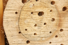 Kops geboord in te zacht hout