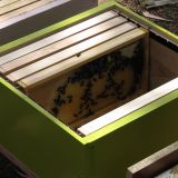 Binnenkant bijenkast