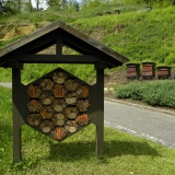 Bijenhotel en bijenkasten naast elkaar